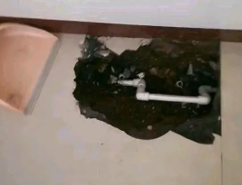 无极卫生间测漏水多少钱